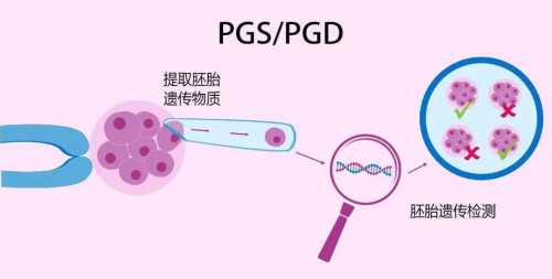 清远人工受孕费用解析：助孕、代怀与辅助生殖技术费用指南