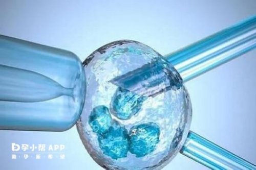 卵巢早衰人群的助孕生子希望：解析试管婴儿助孕可行性