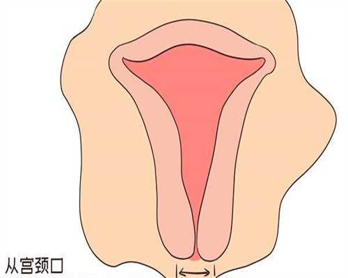 探寻辅助生殖技术：沧州地区三代试管婴儿医院评估