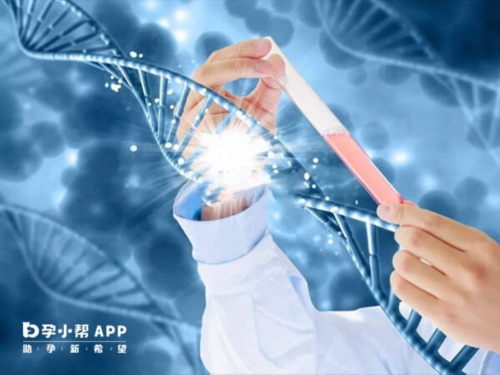 生育服务费用解析与成功率揭秘