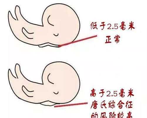 私立医院的试管婴儿服务：费用与选择指南