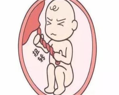 优化卵巢功能，提升助孕成功率的秘诀